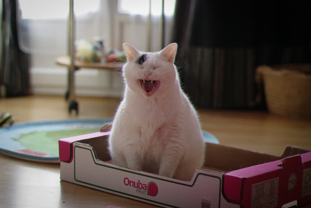 虚拟绿茵引爆全球,沙特全明星季后赛抢七逆袭尤文,新时代足球版图震动