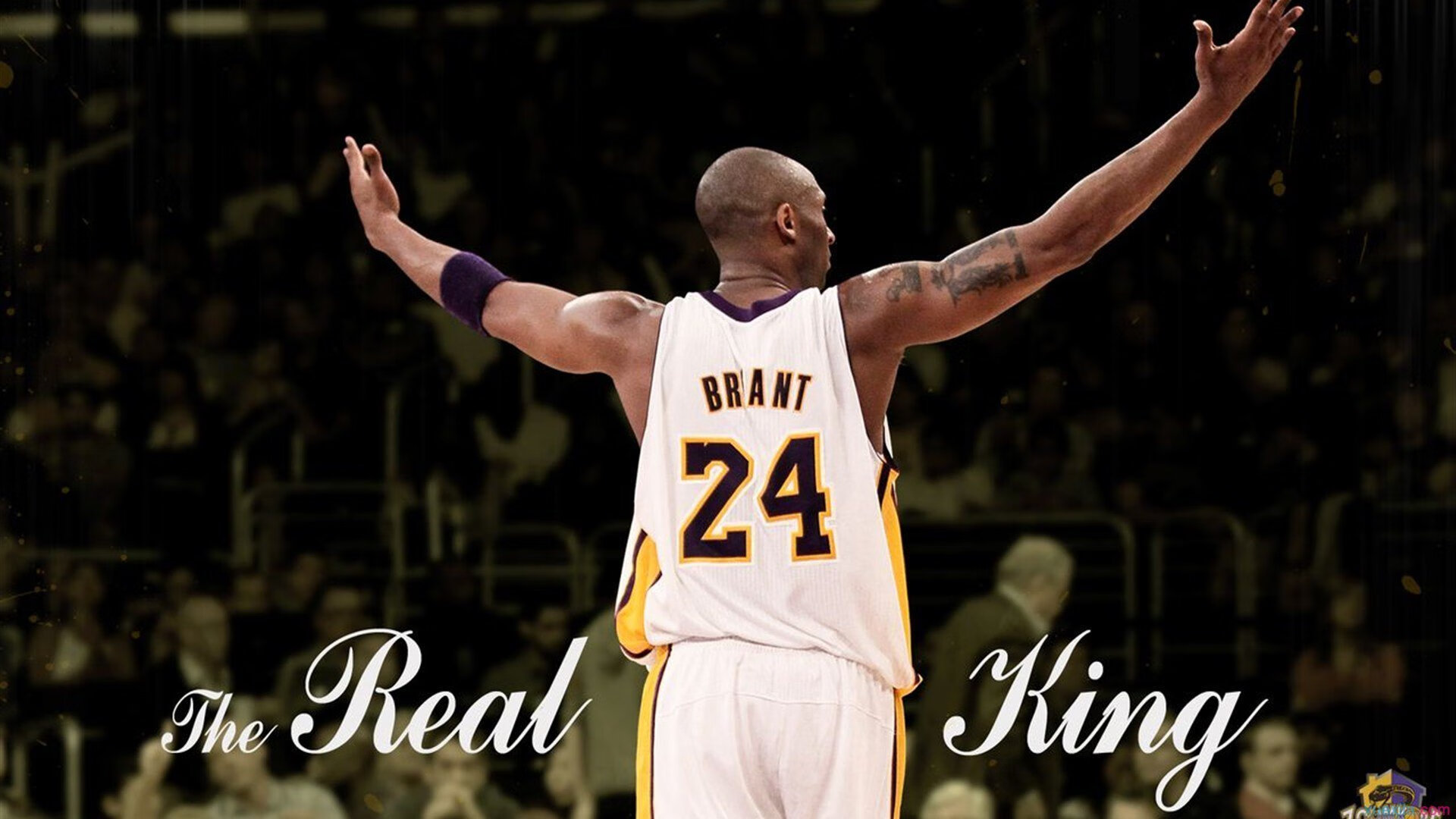 雷霆队强势冲垮黄蜂，欧文关键时刻挺身而出成为关键先生